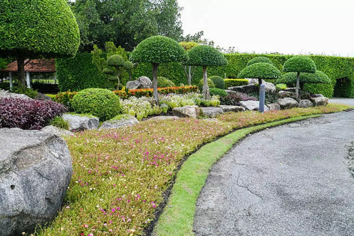 What Is Landscaping A Comprehensive Guide